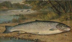 The catch of the day by Thomas G. Targett
