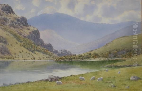 Llyn Gwynant,snowdonia, Sheep Grazing By A Lake - view 1