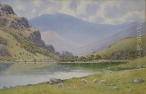 Llyn Gwynant,snowdonia, Sheep Grazing By A Lake by Warren Williams