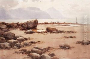 The Rocky Coast The Rocky Coast