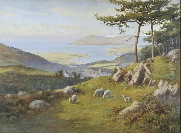 "the Conway Estuary" - From Bryn Nockyn Farm Above Conway Castle - view 1