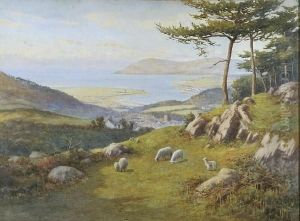 "the Conway Estuary" - From Bryn Nockyn Farm Above Conway Castle "the Conway Estuary" - From Bryn Nockyn Farm Above Conway Castle