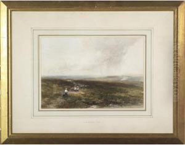 Shepherd And Sheep On The Moors - view 1