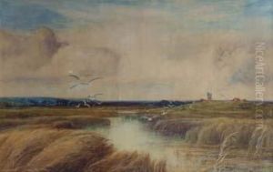 View On The Broads