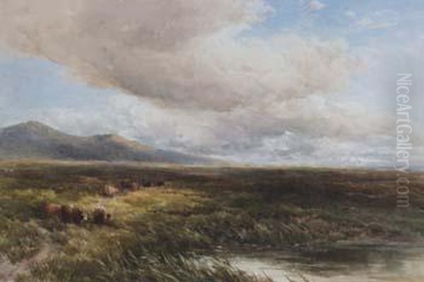 Rural Landscape With Cattle - view 1