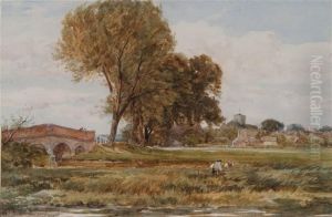 'in The Water Meadows 'in The Water Meadows