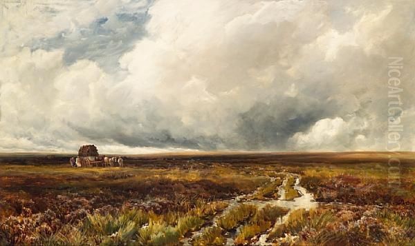Across The Moors - view 1
