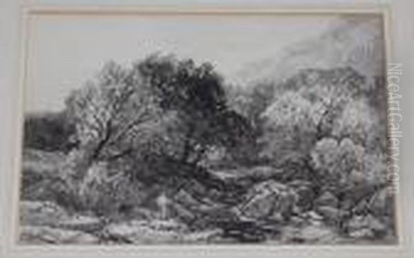 Fishing Near Bettws Y Coed - view 1