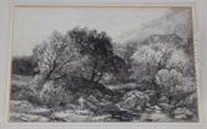 Fishing Near Bettws Y Coed