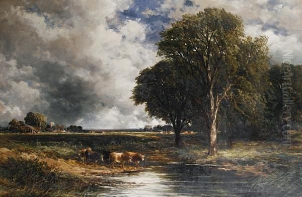 Cattle Watering In An Extensive Landscape - view 1