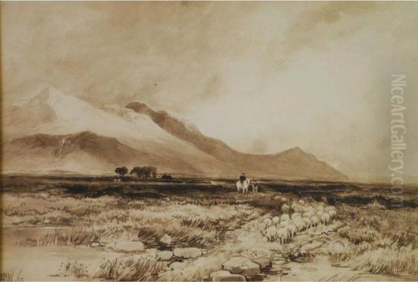Ben Nevis - view 1