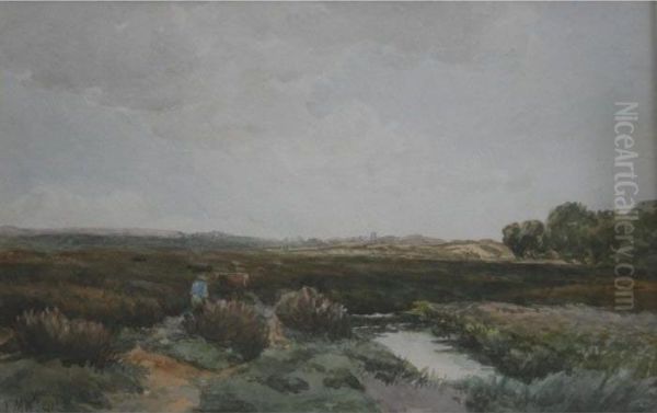 A Common - view 1