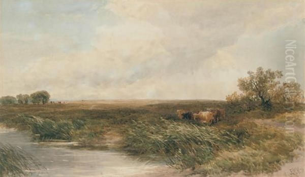 Cows Grazing By A Stream - view 1
