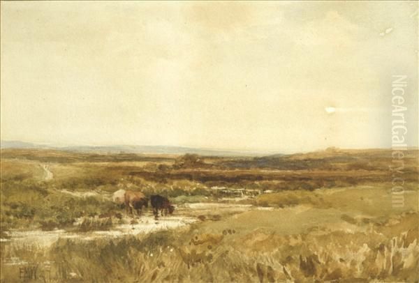 A Cornish Moor - view 1
