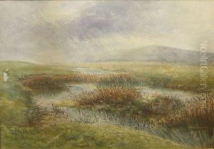 Figure By A Moorland Pool