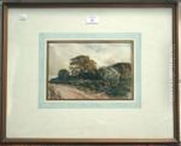 Roadside Trees - view 1