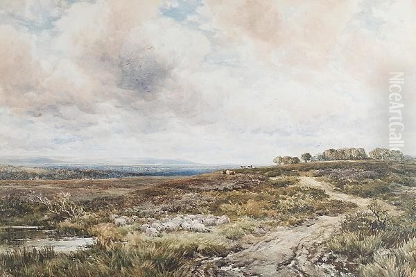 An Extensive Landscape - view 1