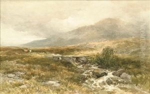 A Welshmoor A Welshmoor
