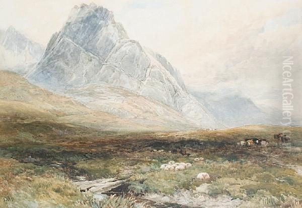Sheep And Cattle In A Mountain Landscape - view 1