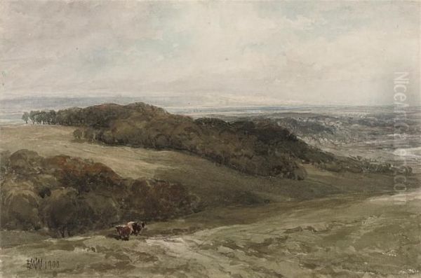 Wensleydale - view 1