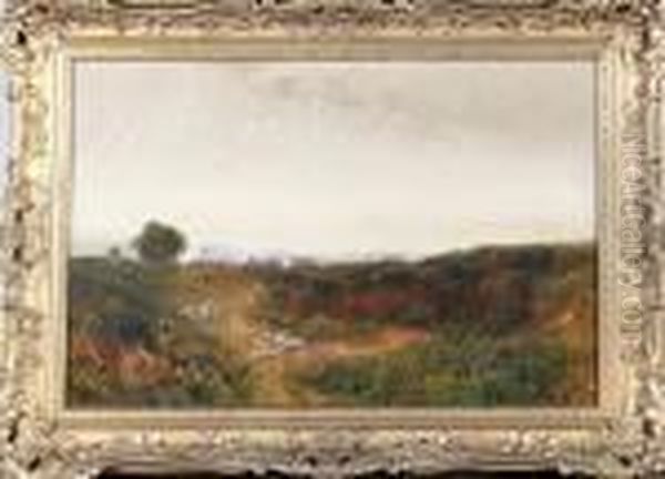 A View On The South Downs With
Sheep Resting In The Foreground And A Village In The Distance - view 1