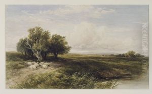 Across The Common by Edmund Morison Wimperis