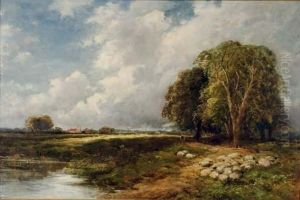 A View Near Dartmoor