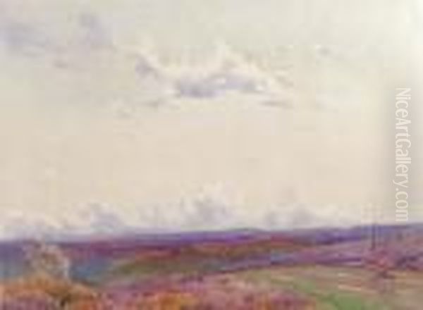 An Extensive Moorland Landscape - view 1