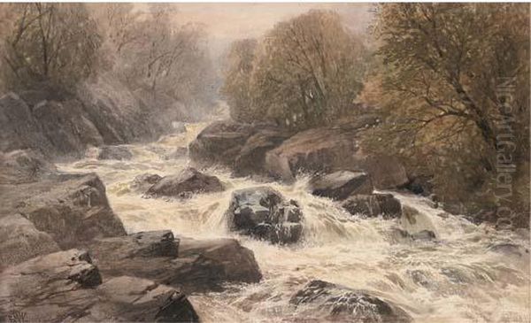 A Welsh Torrent - view 1