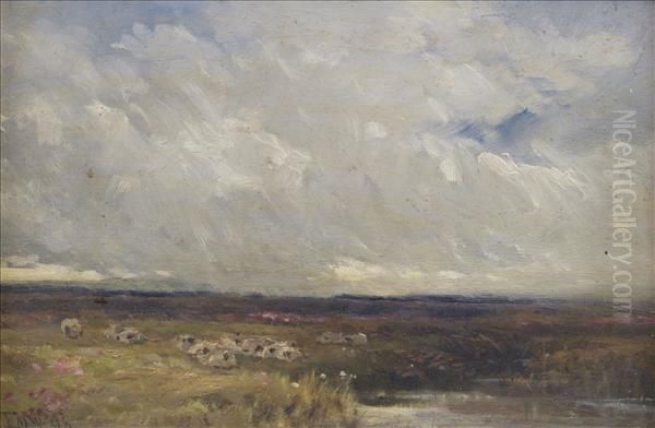 Moorlandscene - view 1