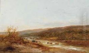 Cattle In Extensive River Landscape Cattle In Extensive River Landscape