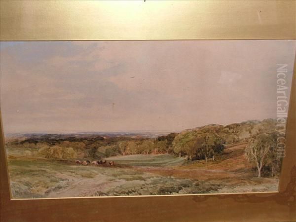 Wmperis A Newforest Upland - view 1