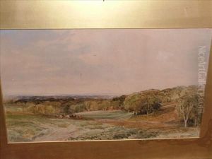 Wmperis A Newforest Upland