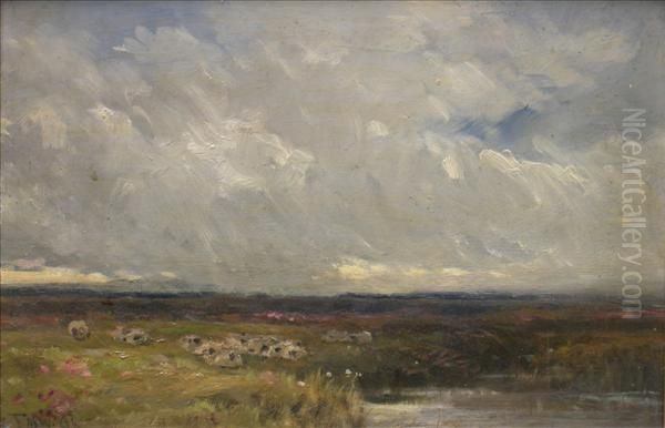 Sheep Ina Landscape - view 1