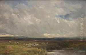 Sheep Ina Landscape Sheep Ina Landscape