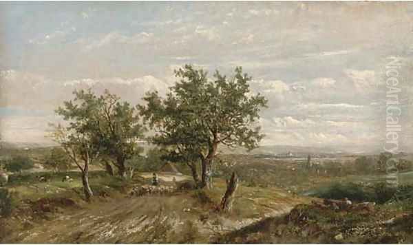 A shepherd and his flock on a country road - view 1