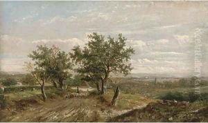 A shepherd and his flock on a country road