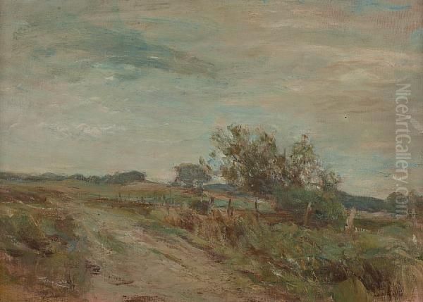 Farm Road - view 1