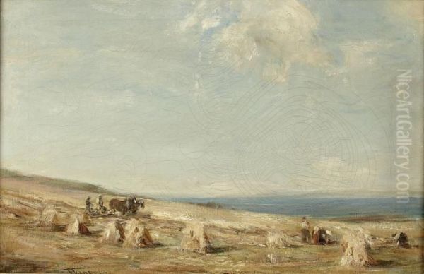 Harvest, Arran - view 1