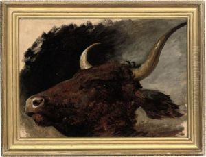 Head Study Of A Bull by James Lawton Wingate