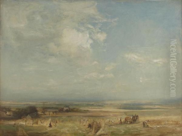 Harvest-time - view 1