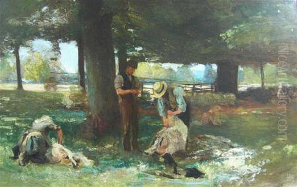 Sheep Shearing - view 1