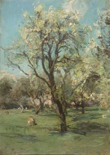 Sheep Beneath Blossoming Trees - view 1