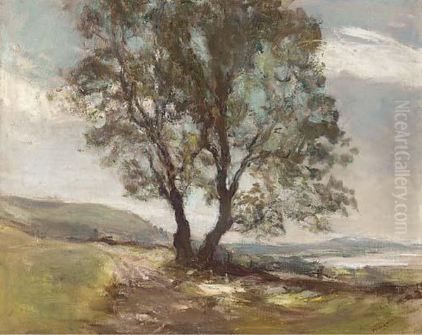 The Lone Tree - view 1