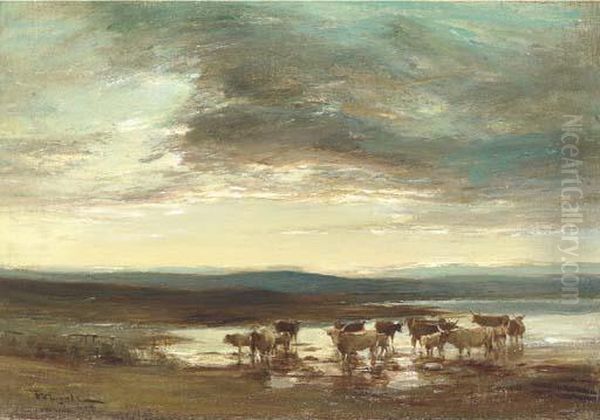 Cattle Watering - view 1