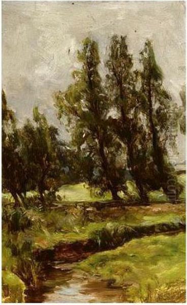 Muthill - view 1