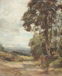 On A Woodland Path On A Woodland Path