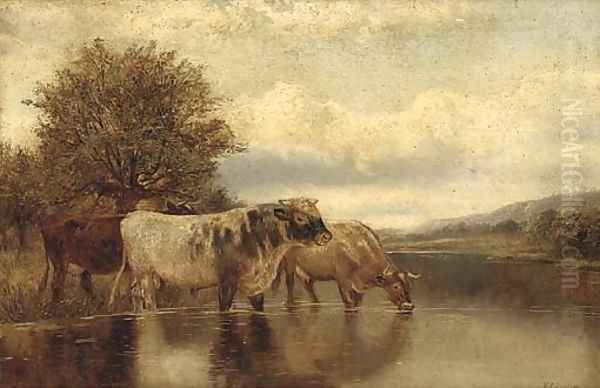 Cattle watering in a lake landscape - view 1