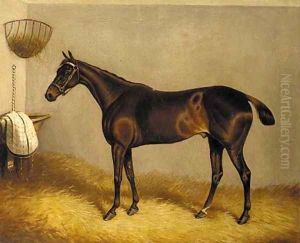 Topthorn, a chestnut racehorse in a stable
