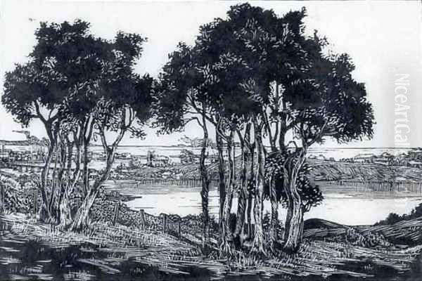 Sunny waters near Fremantle - view 1